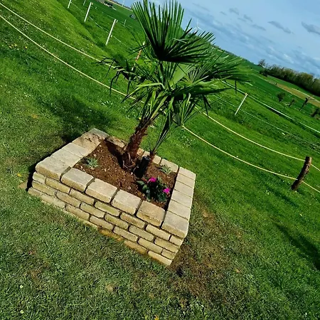 Tiny Cocon En Pleine Nature Jacuzzi, Sauna Prive Luxuszelt *